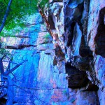 Abortion Contortion II